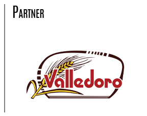 valledoropartner